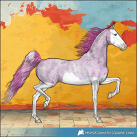 Horse Color:Watercolor Red Ice Roan Splash Rabicano