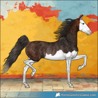 Horse Color:Bay Ice Splash Rabicano 