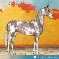 Horse Color:White Spotted Silver Brown Sabino