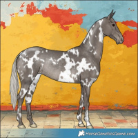 Horse Color:White Spotted Silver Black Appaloosa Rabicano 