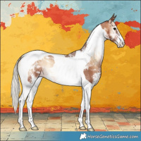 Horse Color:Silver Brown Onyx Sabino Tobiano Rabicano