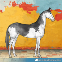 Horse Color:Black Splash 