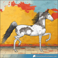Horse Color:Grullo Splash Tobiano 