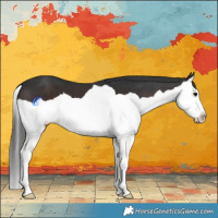 Horse Color:Brown Splash 