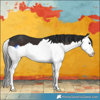 Horse Color:Brown Splash 