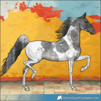 Horse Color:Blue Roan Tobiano Rabicano