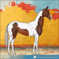 Horse Color:Silver Brown Tobiano 