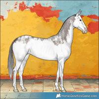 Horse Color:Liver Red Roan Sabino Splash Appaloosa Rabicano 