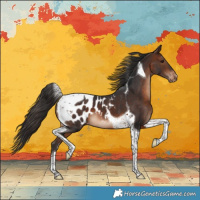 Horse Color:Brown Tobiano Blanket 