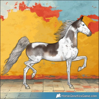 Horse Color:Gray Silver Black Splash Tobiano Rabicano 