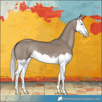 Horse Color:Silver Grullo Splash