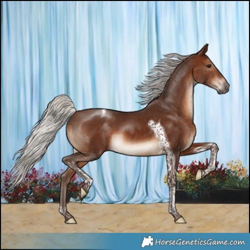 Horse Color:Silver Brown Tobiano 