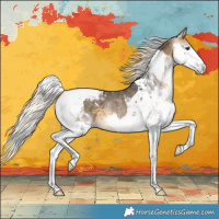 Horse Color:Silver Buckskin Splash Tobiano Appaloosa Rabicano