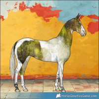 Horse Color:Silver Buckskin Ice Sabino Tobiano 
