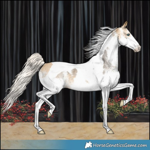 Horse Color:White Spotted Silver Buckskin Splash Tobiano Varnish 