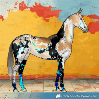 Horse Color:Gray Buckskin Onyx Splash Tobiano Blanket 