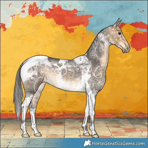 Horse Color:Buckskin Ice Tobiano 