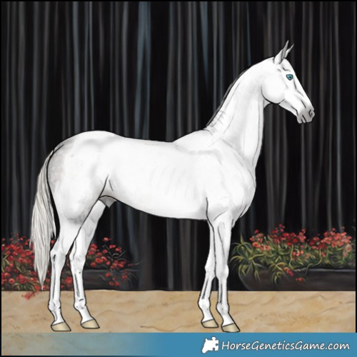 Horse Color:Gray Silver Smoky Black Ice Splash Tobiano Varnish 