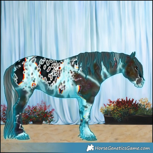 Horse Color:Thunderstruck Midnight Bay Ice Splash Tobiano Appaloosa 