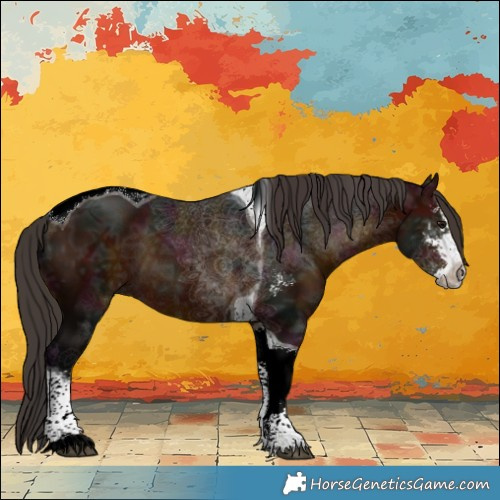 Horse Color:Midnight Bay Ice Sabino Tobiano 