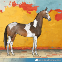 Horse Color:Gray Buckskin Splash Tobiano 