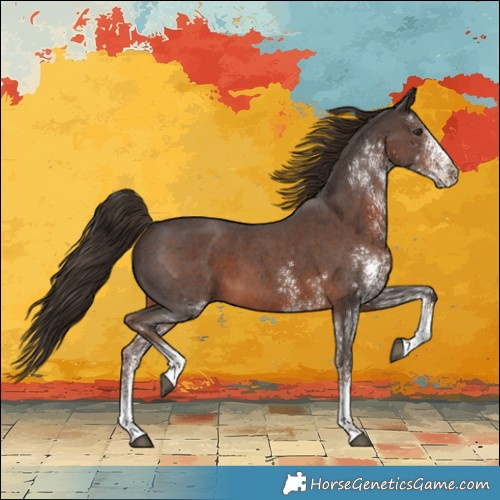 Horse Color:White Spotted Liver Chestnut 