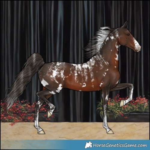 Horse Color:Powder White White Spotted Liver Chestnut 