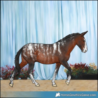 Horse Color:Powder White Brown Rabicano 