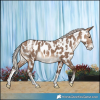 Horse Color:Powder White Silver Brown Dun Near Leopard Brindle 