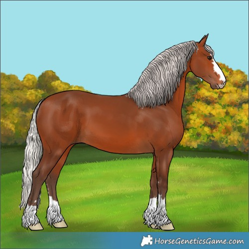 Horse Color:Silver Brown 