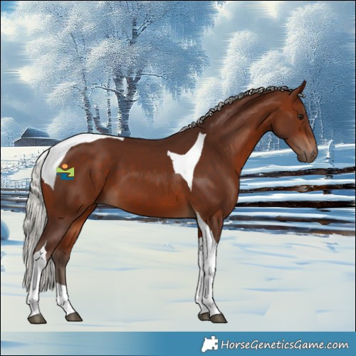 Horse Color:Silver Bay Tobiano 