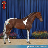 Horse Color:Silver Bay Tobiano 