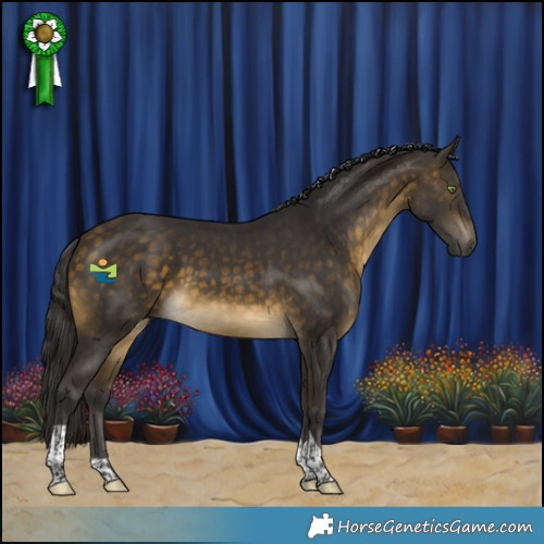 Horse Color:Buckskin Tobiano Rabicano 