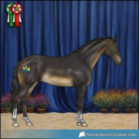 Horse Color:Buckskin Tobiano Rabicano