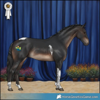 Horse Color:Brown Tobiano Rabicano