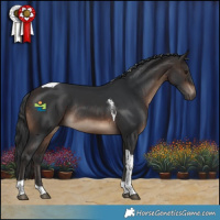 Horse Color:Brown Tobiano Rabicano 
