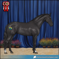 Horse Color:Smoky Black Rabicano 