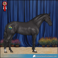 Horse Color:Smoky Black Rabicano 