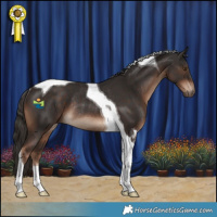 Horse Color:Liver Chestnut Tobiano Rabicano 