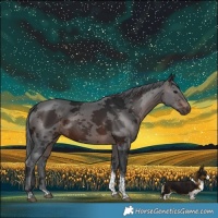 Horse Color:Brown Merle Tobiano