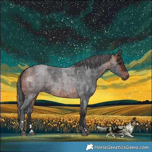 Horse Color:Bay Roan Merle