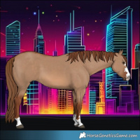 Horse Color:Red Dun 