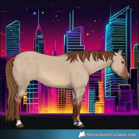 Horse Color:Red Dun 