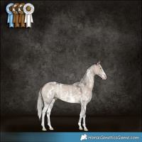 Horse Color:Silver Brown Dun Sabino 