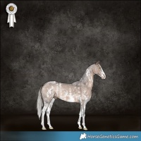 Horse Color:Silver Brown Dun Sabino 