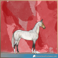Horse Color:Silver Buckskin Roan Rabicano