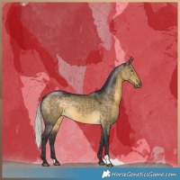 Horse Color:Silver Buckskin Dun