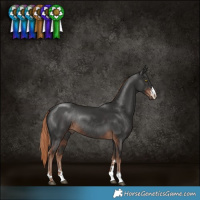 Horse Color:Liver Chestnut Rabicano 