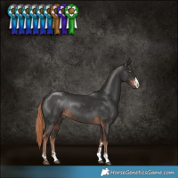 Horse Color:Liver Chestnut Rabicano 
