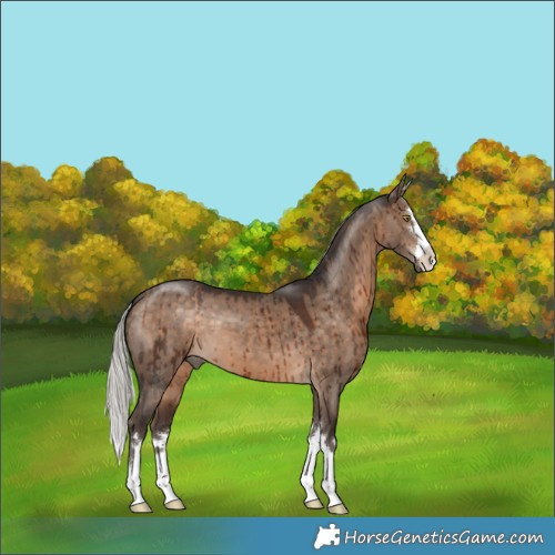Horse Color:Silver Brown Dun Brindle 